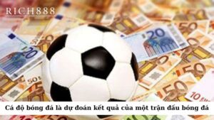 Cá độ bóng đá là hình thức cá cược mà người chơi dự đoán kết quả của một trận đấu bóng đá