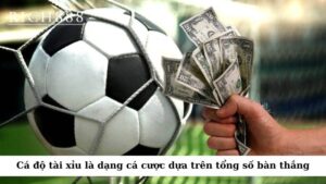 Cá độ tài xỉu (Over/Under) là một dạng cá cược dựa trên tổng số bàn thắng trong một trận đấu