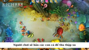 Trong trò chơi này, người chơi sẽ bắn các con cá để thu thập xu
