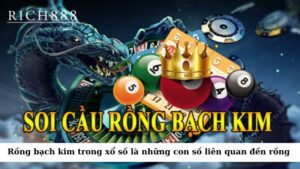 Rồng bạch kim trong xổ số được hiểu là những con số đặc biệt liên quan đến hình ảnh rồng 